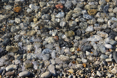 鹅卵石海底清澈的海水岩石底部背景图片