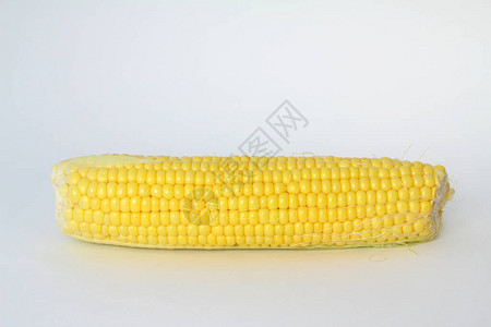 背景为白色的生玉米图片