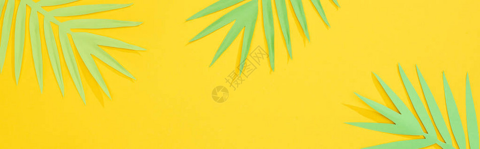 黄色明亮背景上剪纸绿色热带棕榈叶的顶视图图片