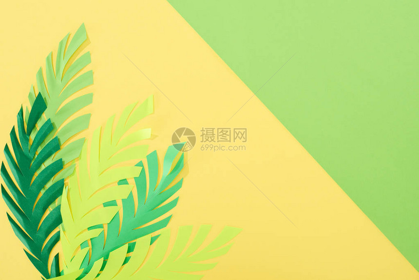 黄色和绿色背景的热带树叶图片