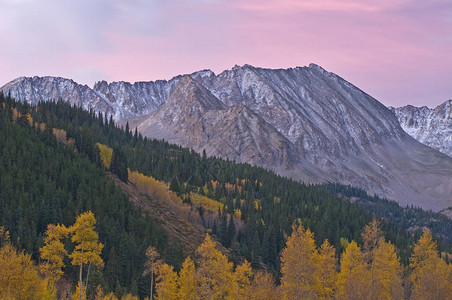 美国科罗拉多州溪路麋鹿山黎明时分的秋景图片