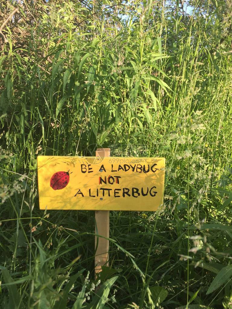 在加拿大多伦的绿色草地上看到一个标志做一只Ladybug而图片