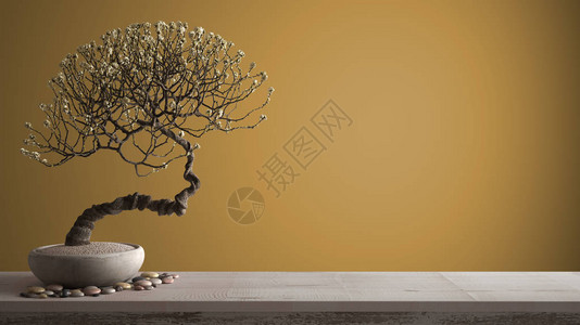 配有瓦子和陶瓷花盆白花带复制空间的黄色彩背景Zen概念内置设计等图片