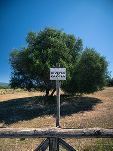 以百年橄榄树为背景的狩猎禁令标志图片