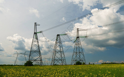 油菜花田地里的电线塔背景图片