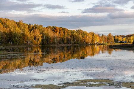 美妙的秋景水边五颜六色的树木水图片