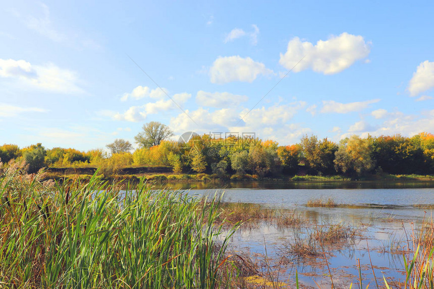 秋天的风景与河流和树木图片