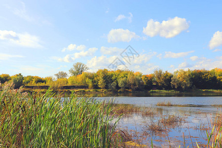 秋天的风景与河流和树木背景图片