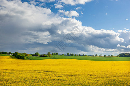 农业景观波兰瓦尔图片