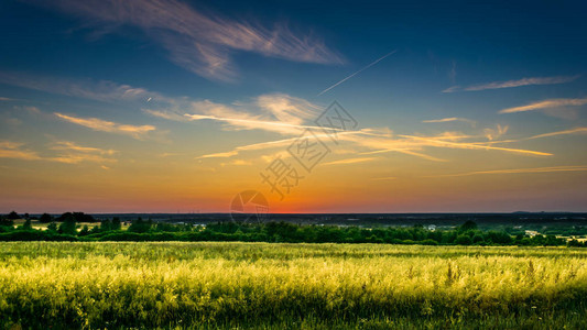 美丽的夏季日落农村草原或图片