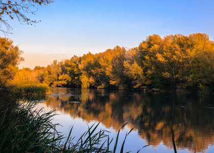 秋天有树木的河流风景图片