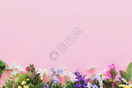 粉色纸面背景上的野花多彩边框高清图片