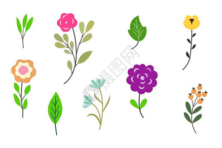 优雅的花朵郁金香百合鸢尾浆果树叶树枝您的邀请或明信片设计的装饰花卉元图片