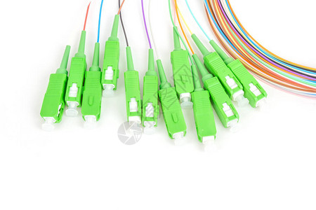 绿色光纤绿光纤SC连接器在白图片