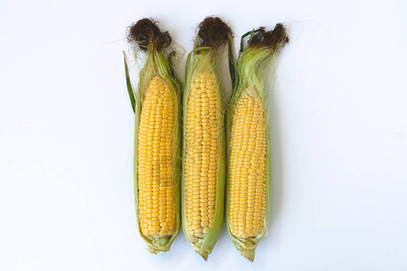 白色背景上的黄色玉米图片