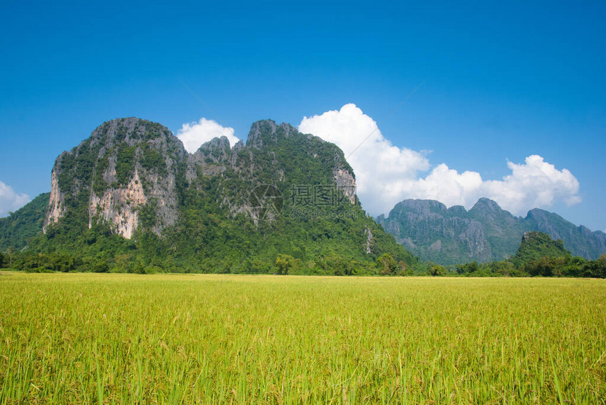 有山地背景的稻田老挝Vang图片