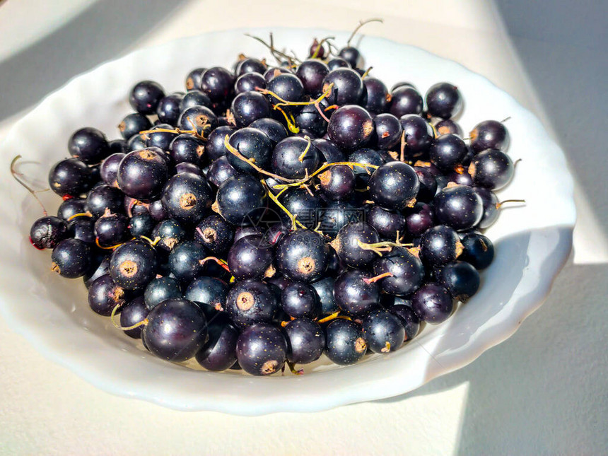 蓝莓白盘上的里普蓝莓维生素和饮食概念健图片