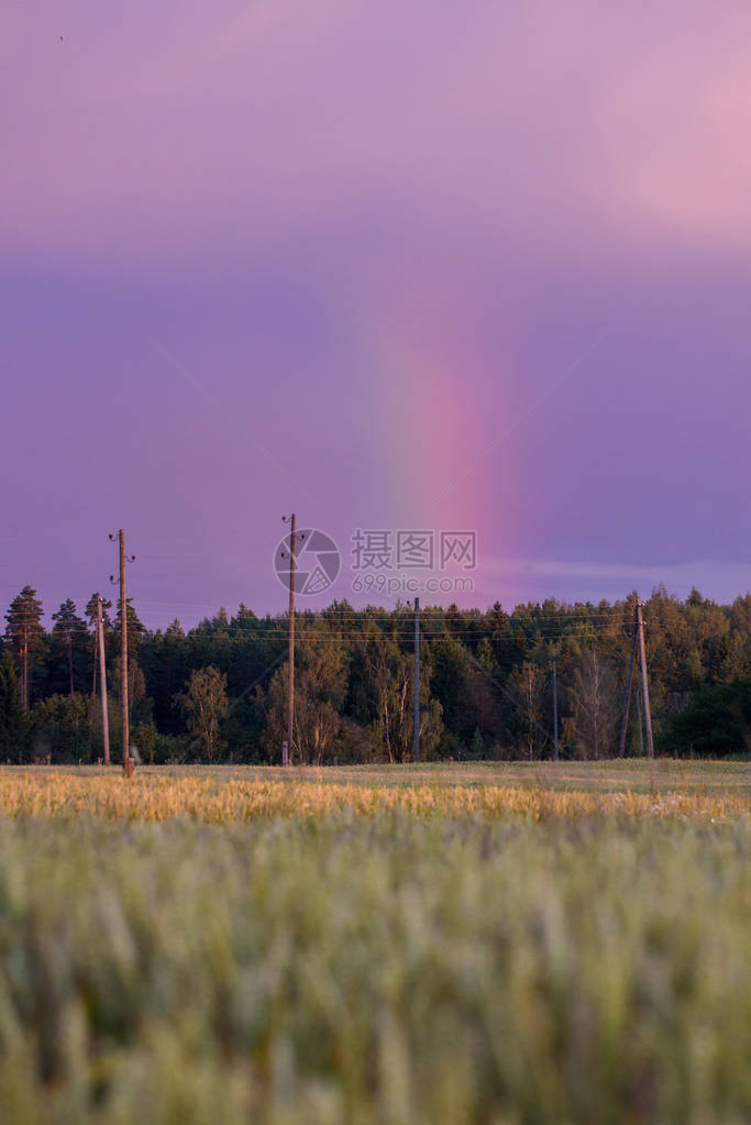紫色天空的垂直彩虹在农村道路附图片