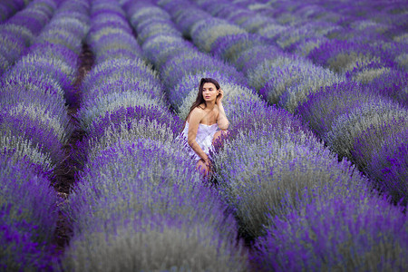 紫衣草地上的年轻美女夏图片