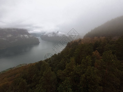 挪威树木繁茂的乡村有雾的景观图片