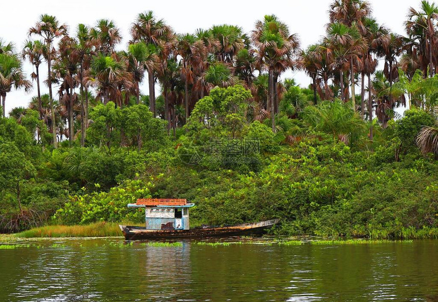 巴西东北部的平静河巴雷伊里尼亚图片