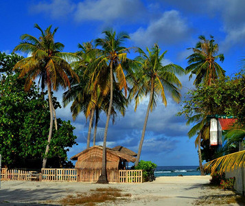 马尔代夫美丽的异国岛屿图片