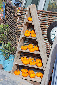 丰收节上木制三角架上的小橘子南瓜Ripe装饰南瓜花园装饰假图片