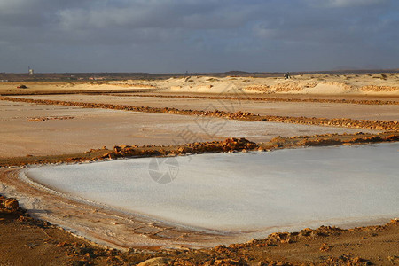 佛得角萨尔岛的盐生产图片