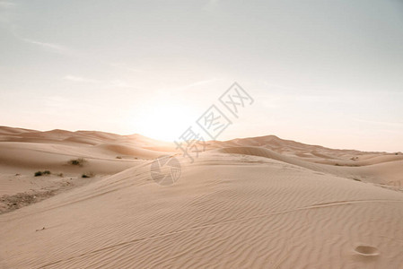 沙漠中美丽的日出图片