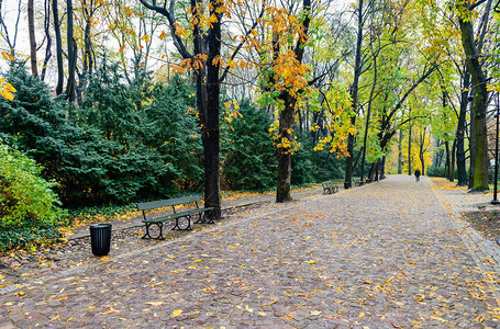 美丽的秋天LazienkiKlorewskie公图片