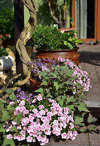 花盆和花坛露台阳台纸和楼梯的花园装饰图片