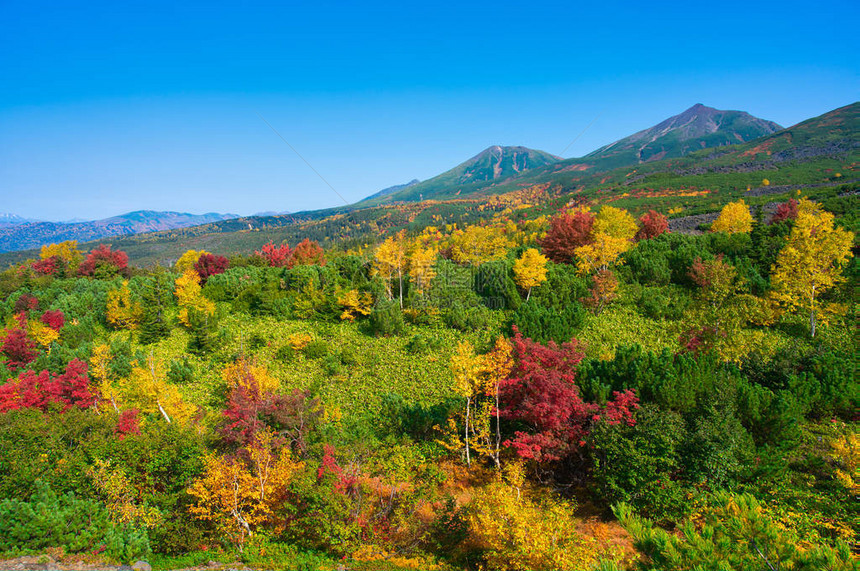 十胜二秋天北海道图片