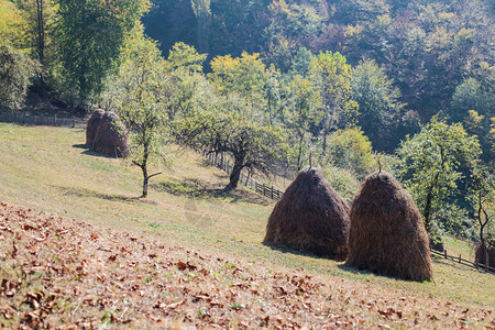 乡村秋天风景田野传统干草场塞尔维亚美丽的农村景图片