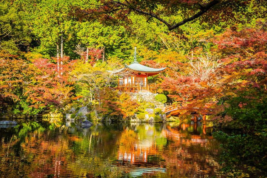 日本京都秋季充满多彩的树叶和子的美图片