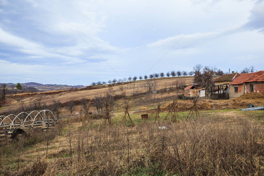 传统的和农场乡村景观塞尔维亚的一个村庄图片