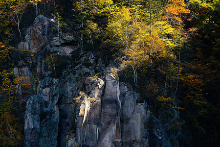 悬崖和秋叶图片