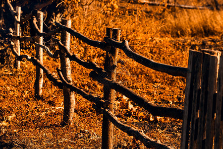 秋天废弃的村庄里破旧的木栅栏乡图片