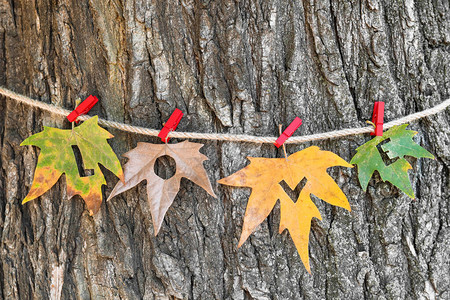 用树叶挂在户外树旁绳子上的爱词图片