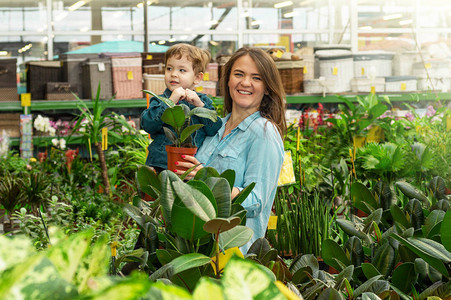 妈和她的男婴在植物店里挑选植物温室里的园艺植物园花卉种植图片