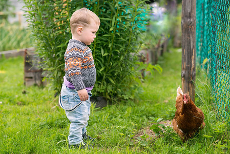 小男孩和母鸡玩耍农村图片