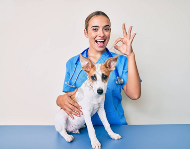 美丽的年轻金发女兽医检查狗的健康状况用手指做好标记笑着亲爱的护身符号图片