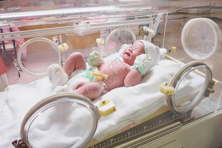 新生儿新生儿婴在医院图片