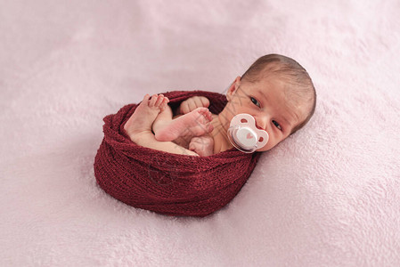 新出生婴儿的奶嘴塞在羊毛球中新生图片