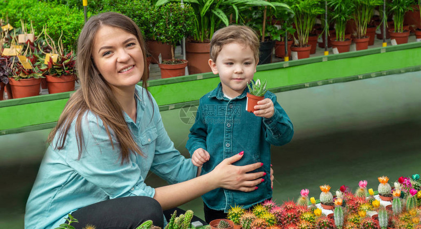 妈和她的男婴在植物店里看着仙人掌温室里的园艺植物园花卉种植图片