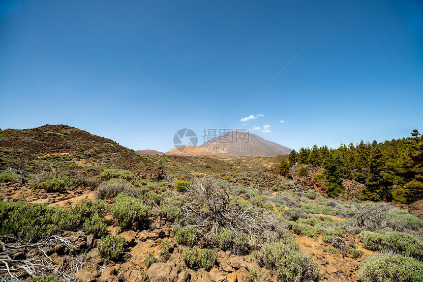 位于西班牙特纳里夫的加那利群岛CanaryIslands图片