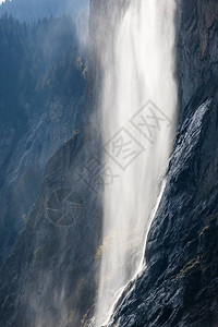 野生自然背景的美丽风景图片