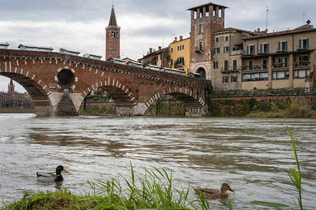 美丽的Verona图片