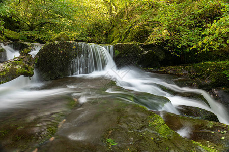 在Exmoor公园Watersmeet的HoarOak水河图片