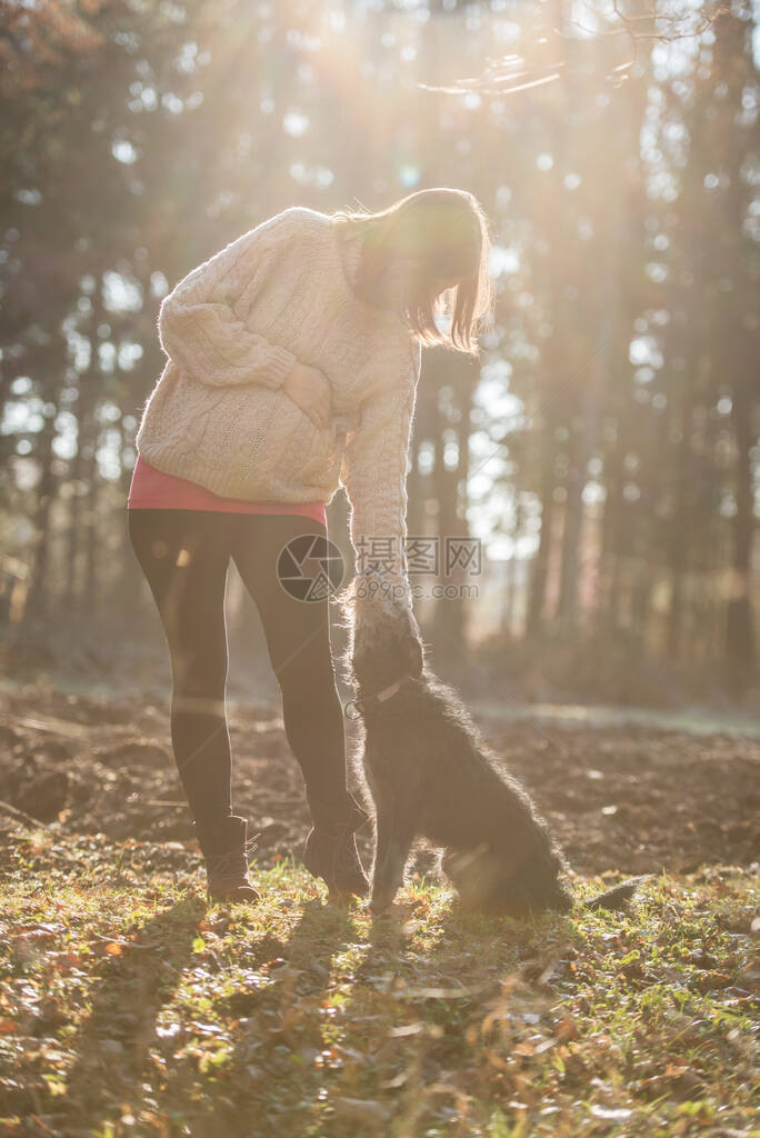 站在日光秋天的森林里站着的孕妇向下伸手抚摸她的黑狗图片