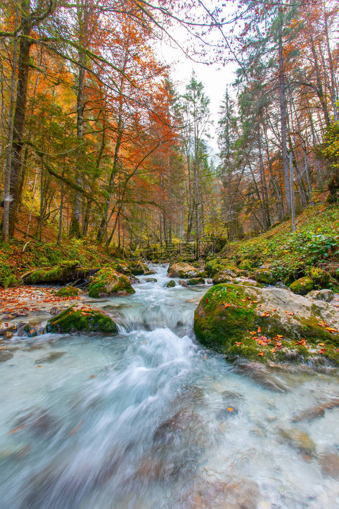 秋季中美丽的山水溪流风景照图片